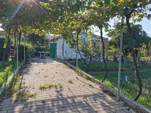 terreno agricolo in vendita a Piombino