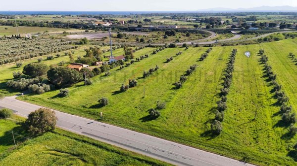 terreno agricolo in vendita a Piombino