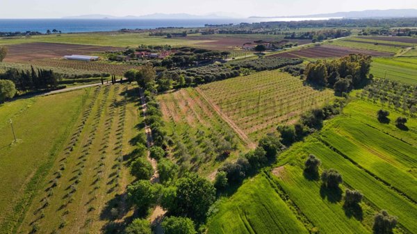 terreno agricolo in vendita a Piombino