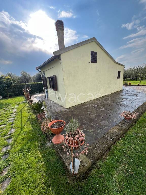 terreno agricolo in vendita a Piombino
