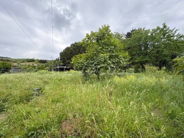 terreno agricolo in vendita a Piombino in zona Fiorentina
