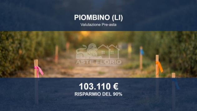 terreno agricolo in vendita a Piombino