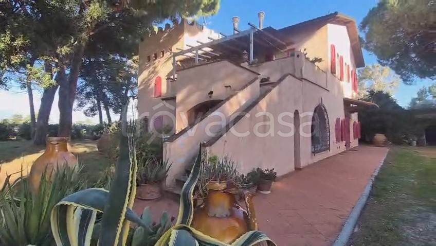 appartamento in vendita a Piombino
