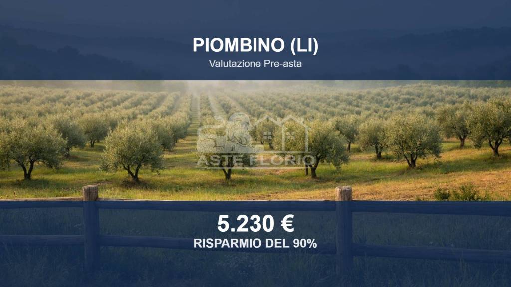 terreno agricolo in vendita a Piombino
