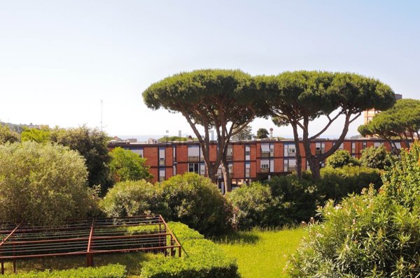 appartamento in vendita a Piombino in zona Gagno