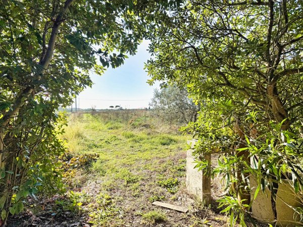 terreno agricolo in vendita a Piombino in zona Fiorentina