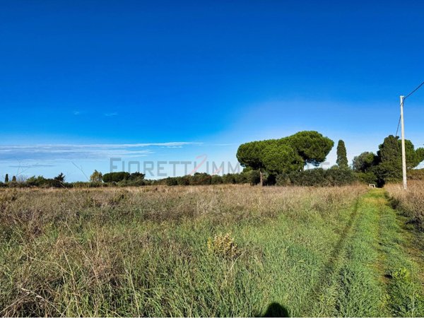 terreno agricolo in vendita a Piombino in zona Fiorentina