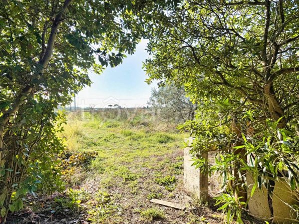 terreno agricolo in vendita a Piombino