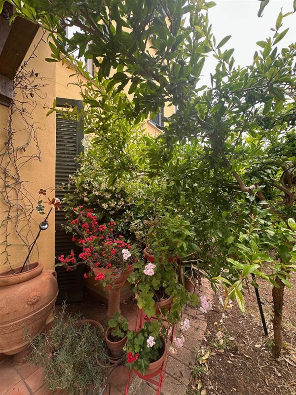 appartamento in vendita a Piombino