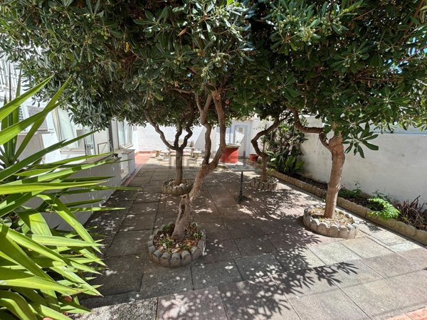 appartamento in vendita a Piombino