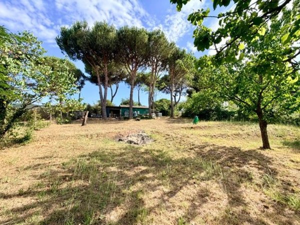 terreno agricolo in vendita a Piombino