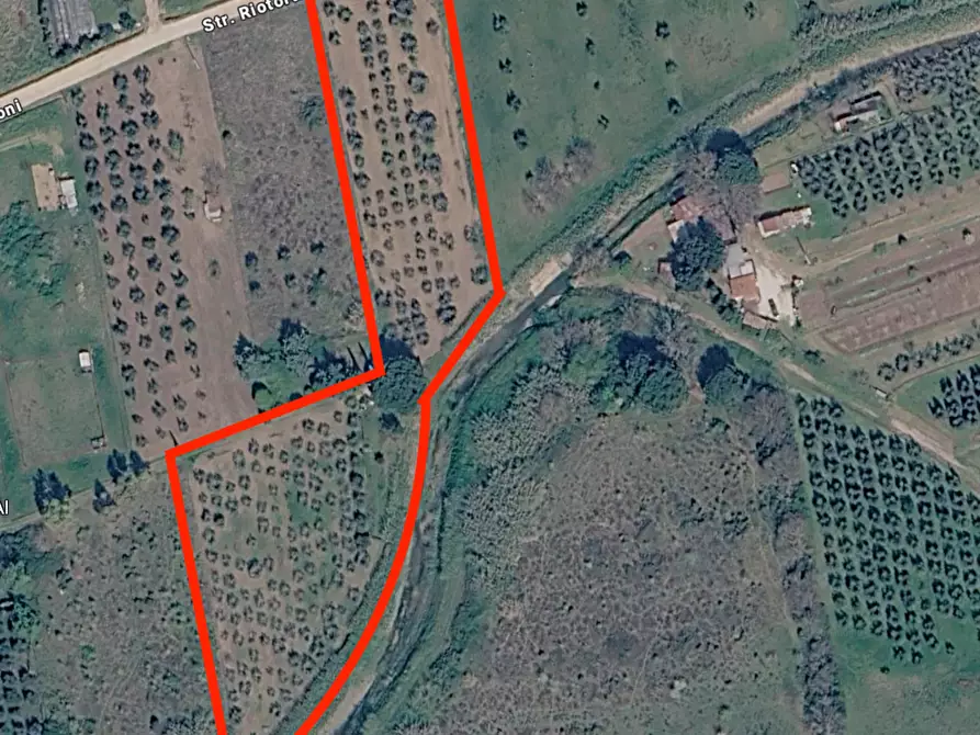 terreno agricolo in vendita a Piombino