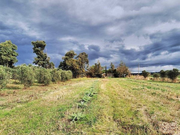 casa indipendente in vendita a Piombino