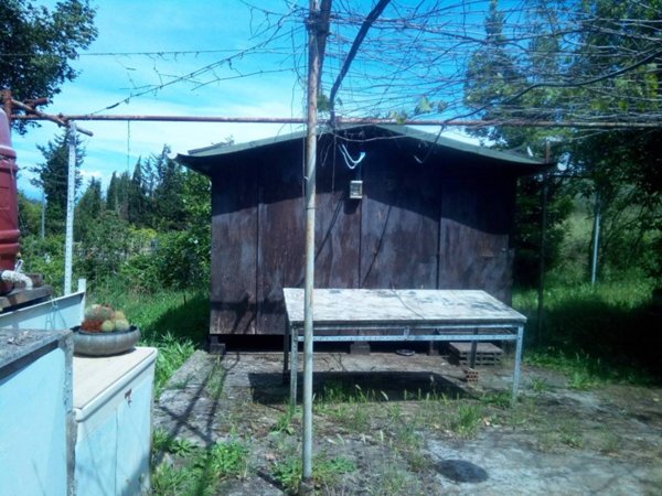 terreno agricolo in vendita a Piombino