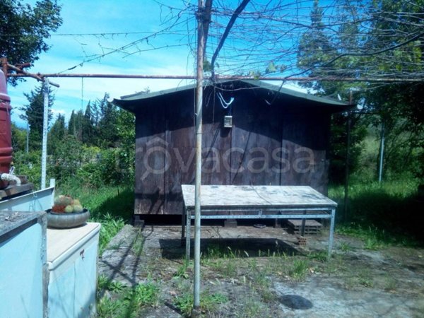 terreno agricolo in vendita a Piombino