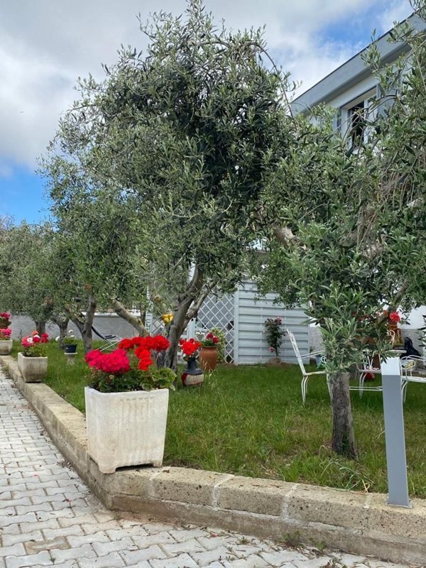 casa semindipendente in vendita a Piombino in zona Gagno