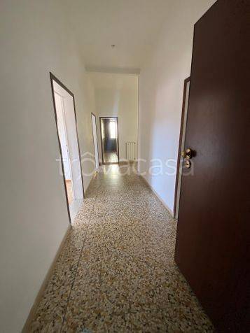 immagine annuncio 0 di 11