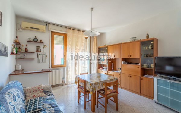 appartamento in vendita a Piombino