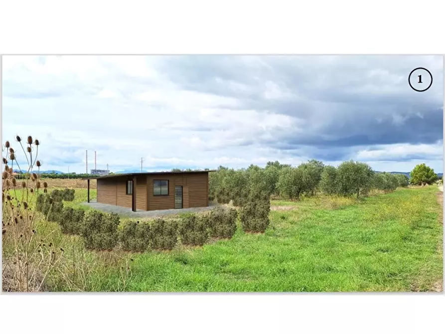 terreno agricolo in vendita a Piombino