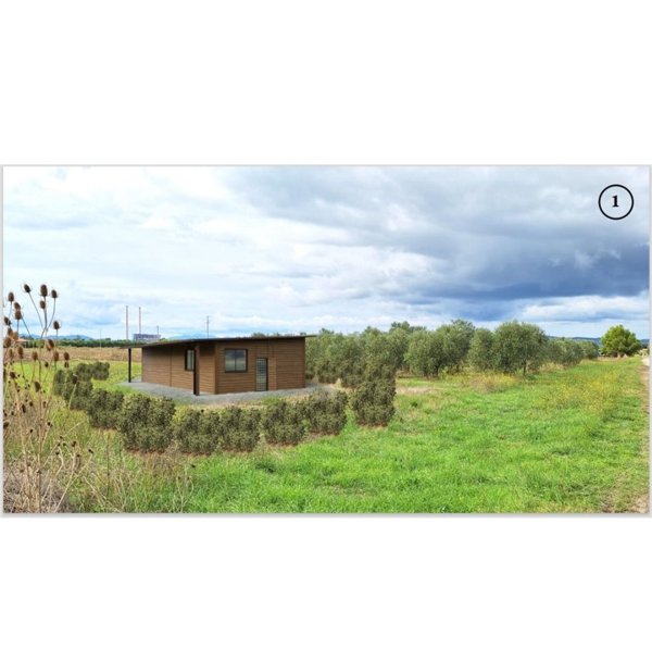 terreno agricolo in vendita a Piombino
