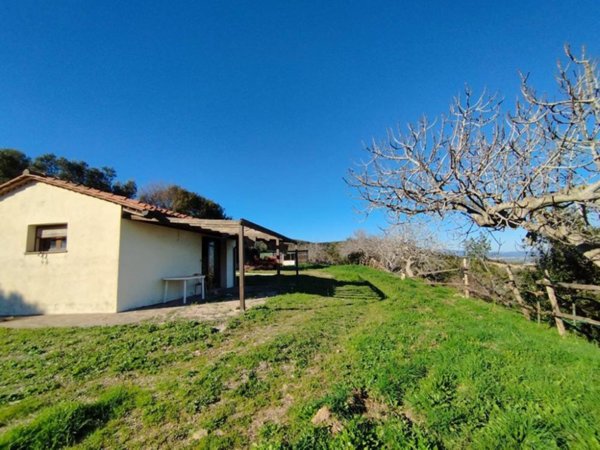 terreno agricolo in vendita a Piombino in zona Gagno