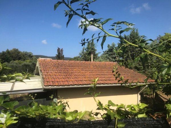 terreno agricolo in vendita a Piombino
