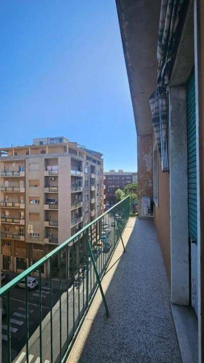 appartamento in vendita a Piombino