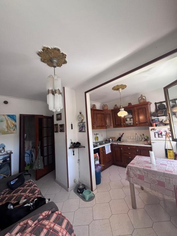 appartamento in vendita a Piombino