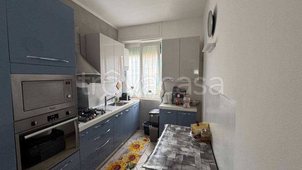appartamento in vendita a Piombino