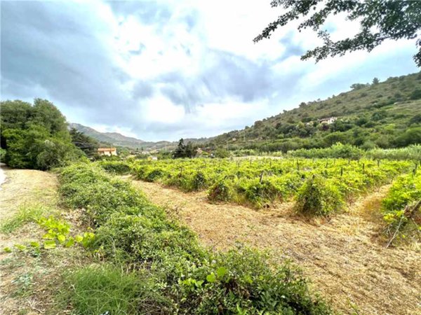terreno agricolo in vendita a Porto Azzurro
