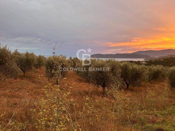 terreno agricolo in vendita a Porto Azzurro in zona Mola
