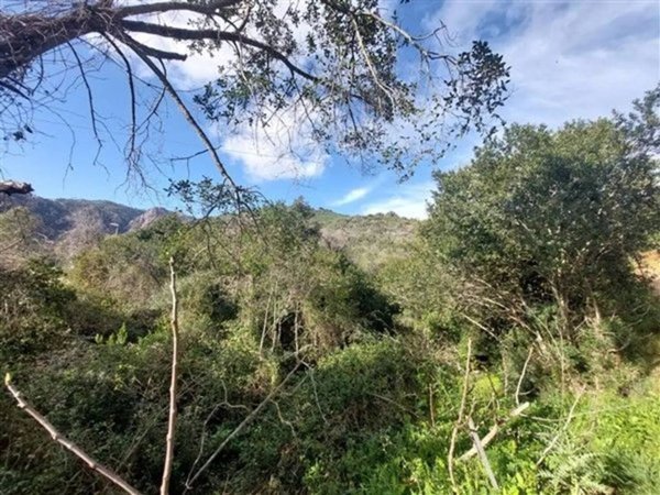 terreno agricolo in vendita a Porto Azzurro