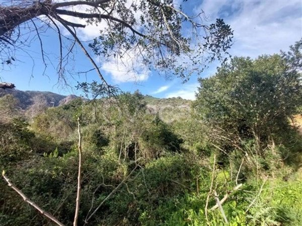 terreno agricolo in vendita a Porto Azzurro