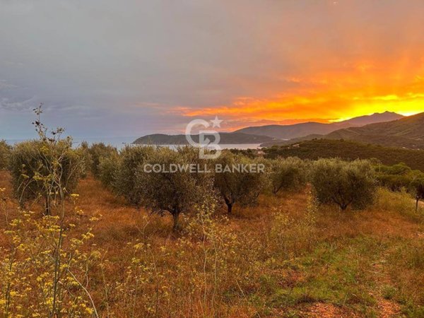 terreno agricolo in vendita a Porto Azzurro in zona Santa Caterina