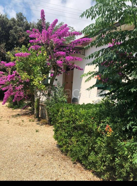 casa indipendente in vendita a Porto Azzurro