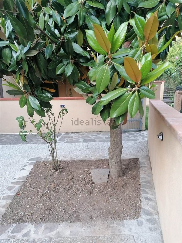 appartamento in vendita a Porto Azzurro in zona Reale