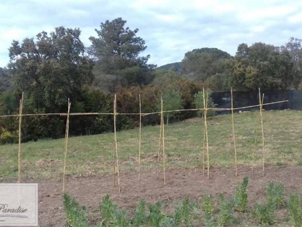 terreno agricolo in vendita a Porto Azzurro