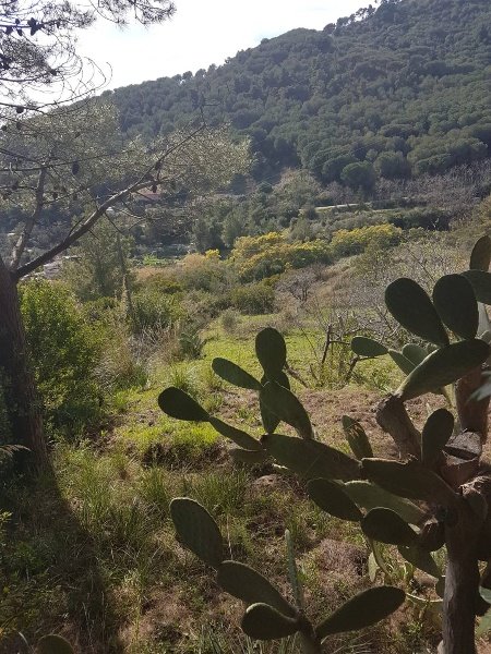 appartamento in vendita a Porto Azzurro