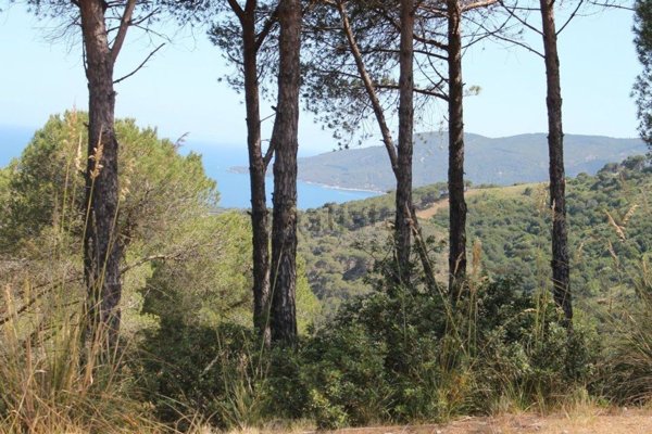 terreno edificabile in vendita a Porto Azzurro