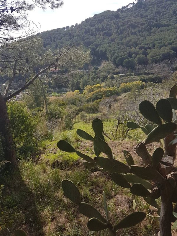 appartamento in vendita a Porto Azzurro in zona Pontecchio