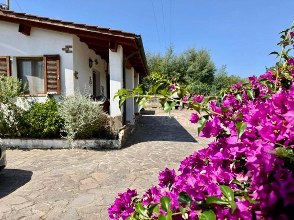 casa indipendente in vendita a Porto Azzurro in zona Reale