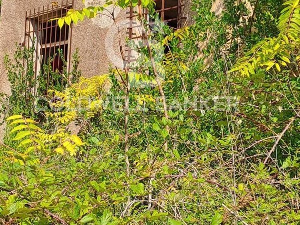 casa indipendente in vendita a Portoferraio