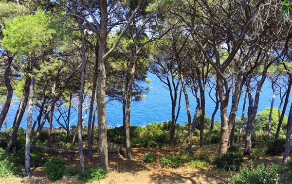 appartamento in vendita a Portoferraio