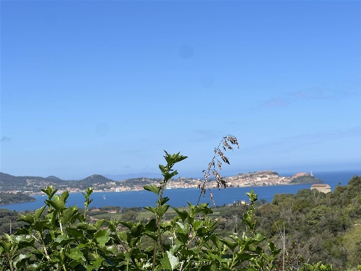 casa indipendente in vendita a Portoferraio in zona Magazzini