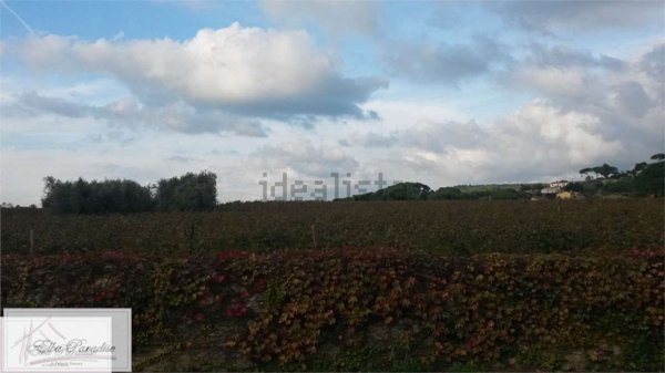locale di sgombero in vendita a Portoferraio