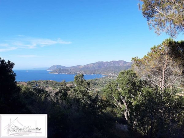 casa indipendente in vendita a Portoferraio in zona Viticcio