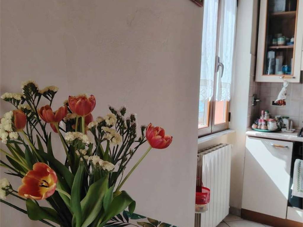 appartamento in vendita a Portoferraio