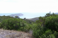 appartamento in vendita a Portoferraio
