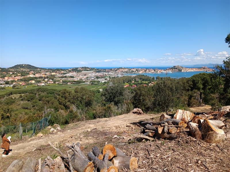 terreno agricolo in vendita a Portoferraio