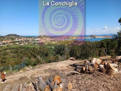 terreno agricolo in vendita a Portoferraio